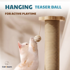 CatBloom™ - More Than a Scratching Post—A Complete Play Center for Your Cat