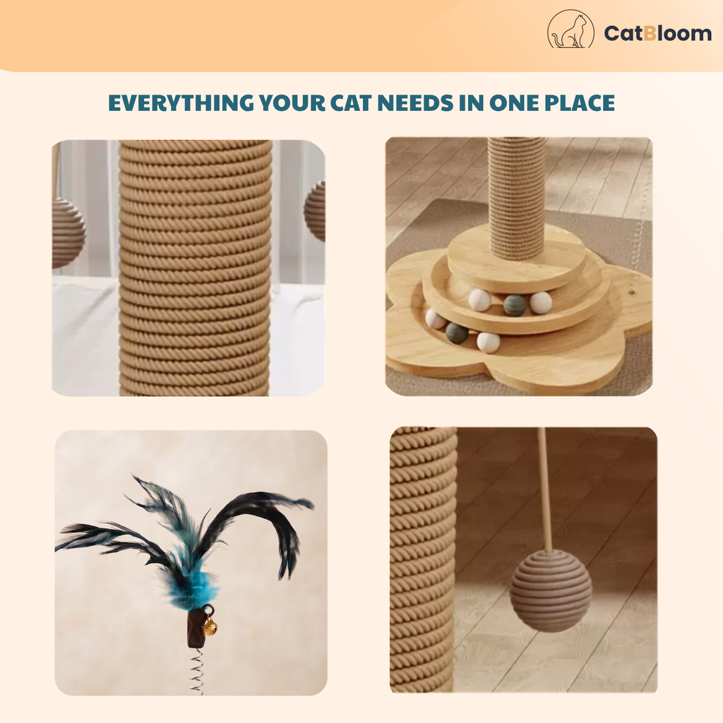 CatBloom™ - More Than a Scratching Post—A Complete Play Center for Your Cat