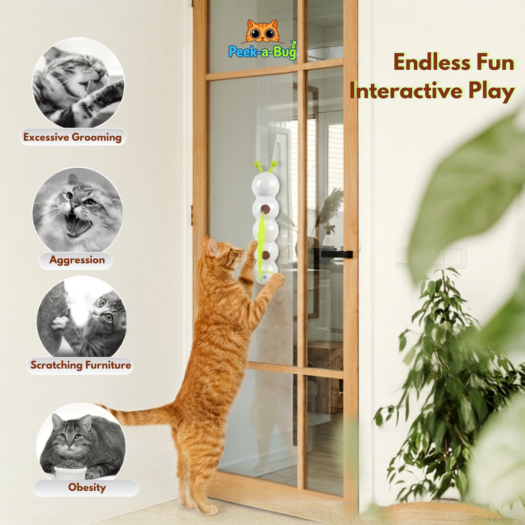 Peek-a-Bug™ Automatic Smart Caterpillar Teaser for Cats