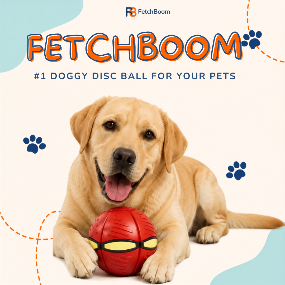Fetchboom