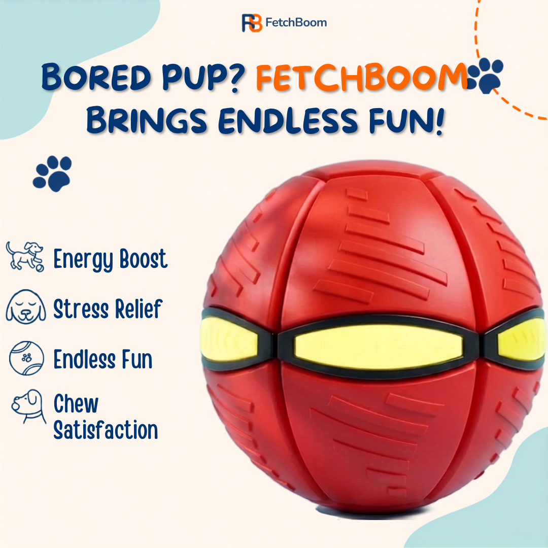 Fetchboom